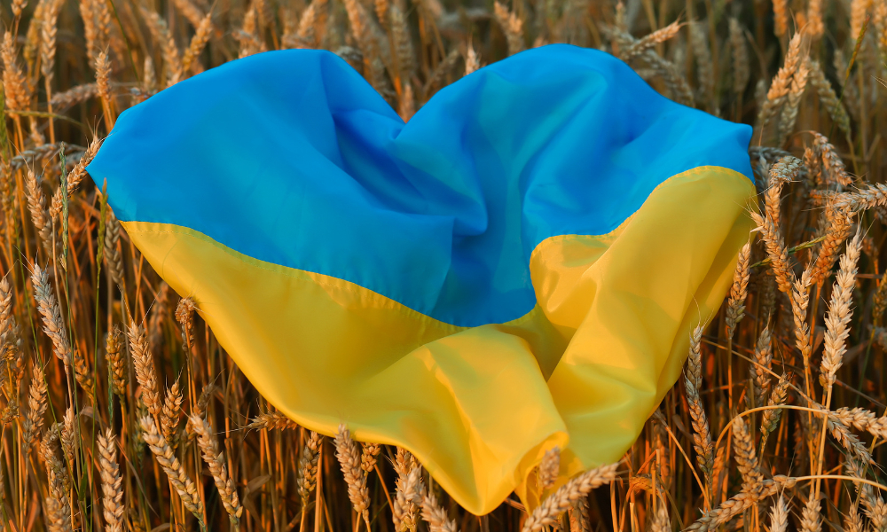 Новость
